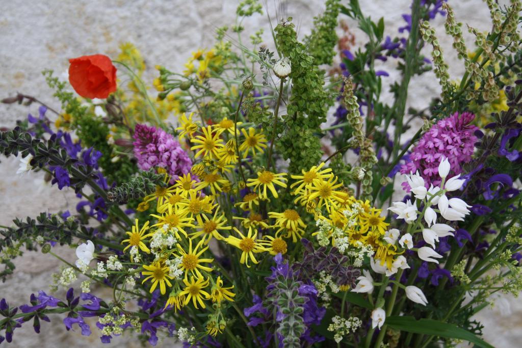 Castelnau-Montratier La Perle Du Lot Bed & Breakfast エクステリア 写真